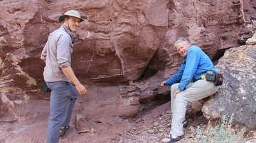 Tasmanian 'devil in disguise' is key puzzle piece for understanding supercontinents