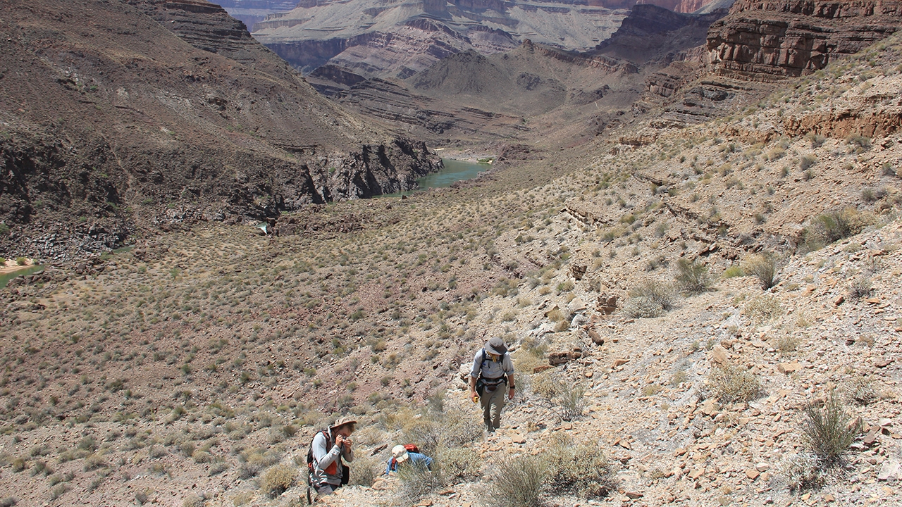 Scientists in the Grand Canyon
