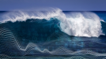 Making the simple complex: synchronization researchers dive into the ‘messy’