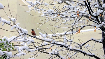 What you need to know when the weather turns ugly