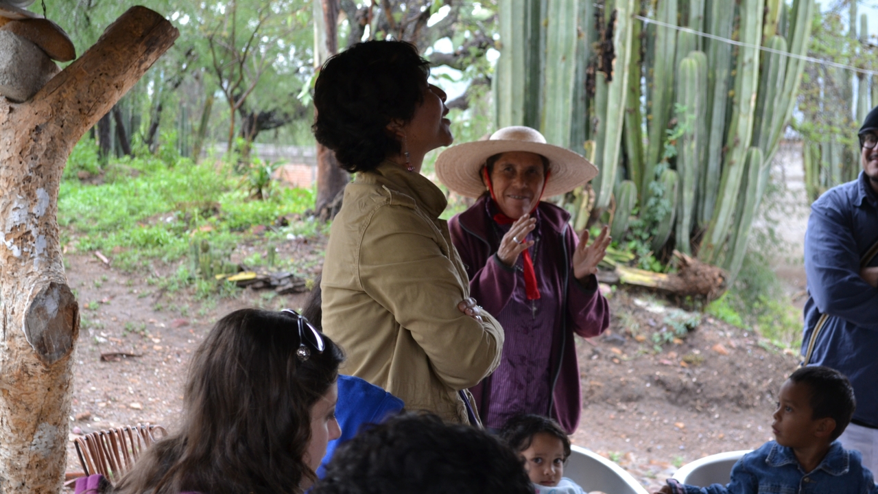 Professor Ruth Trinidad Galván 