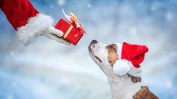 Staff Council drive benefits Animal Humane