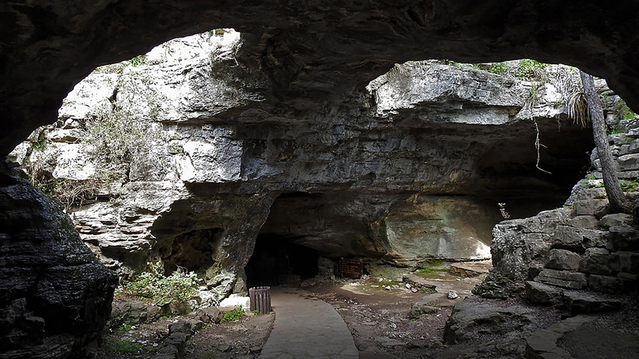 Burnet cave 