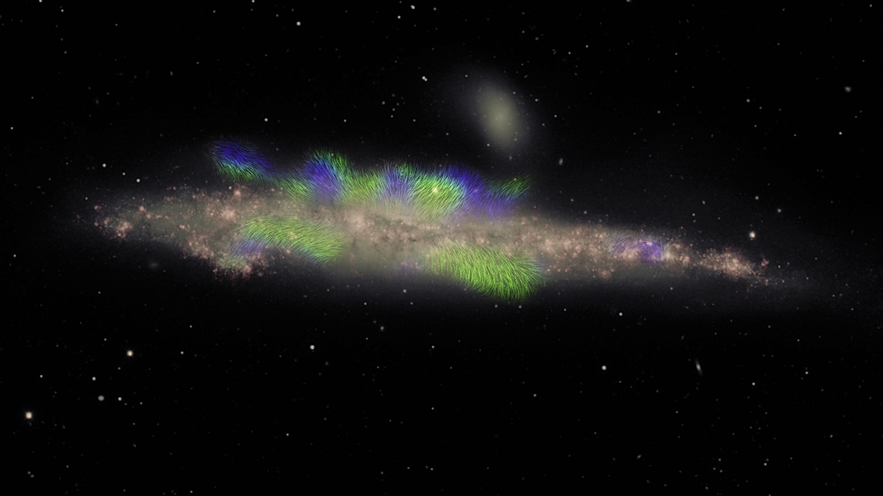 Whale Galaxy
