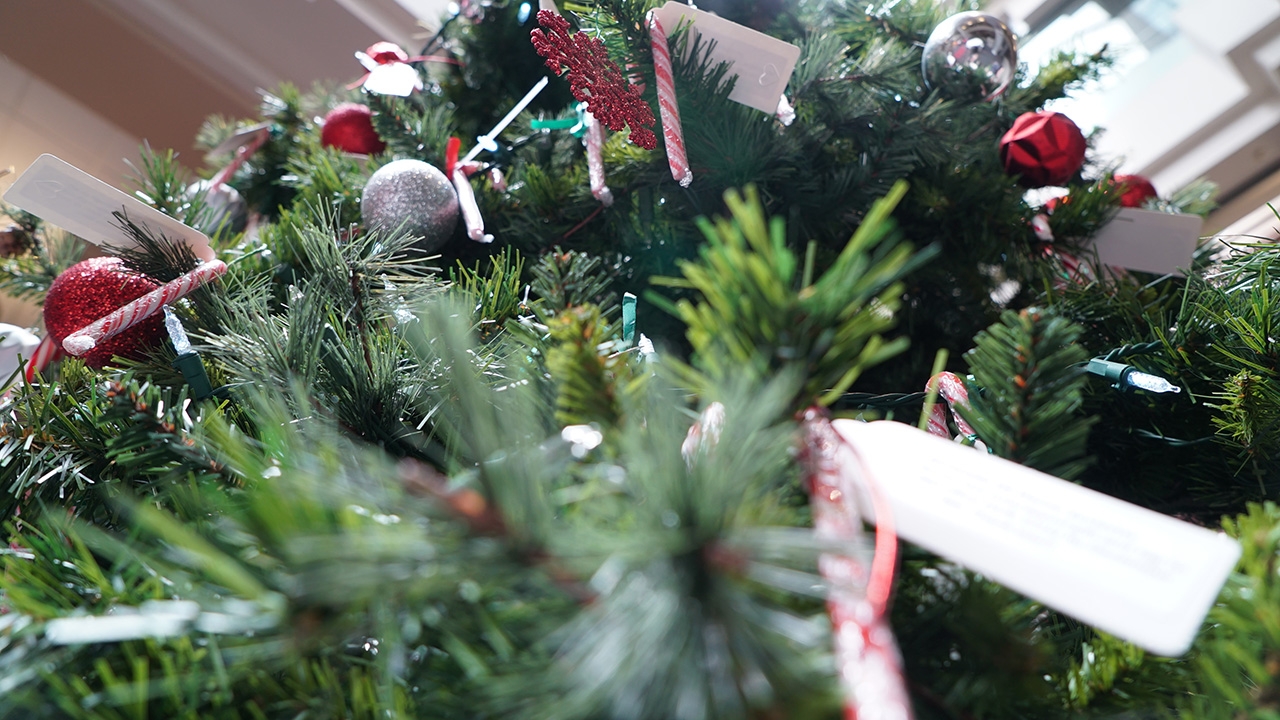 ASUNM's Giving Tree