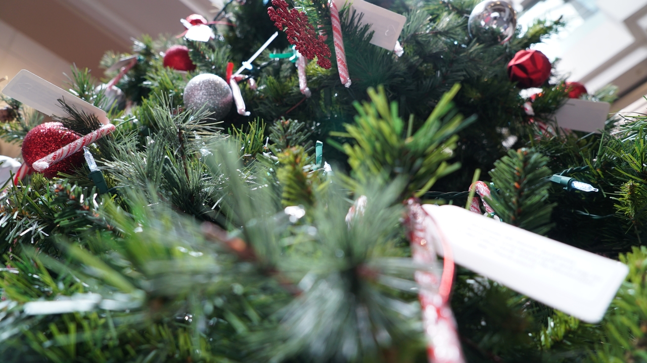 The Giving Tree 