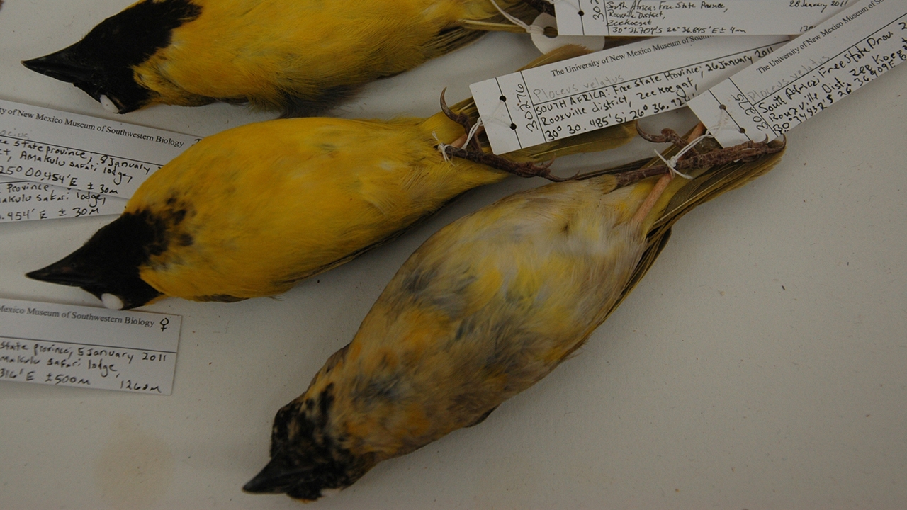 A sampling of the 