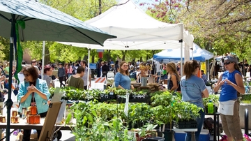 Sustainability Expo scheduled for April 21