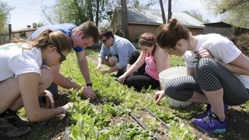 ASUNM’s Community Experience looking for Spring Storm volunteers