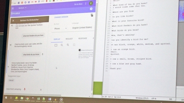 Chatbot course teaches students practical skills in artificial intelligence