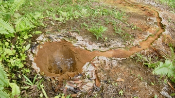 Microbes may act as gatekeepers of Earth’s Deep Carbon