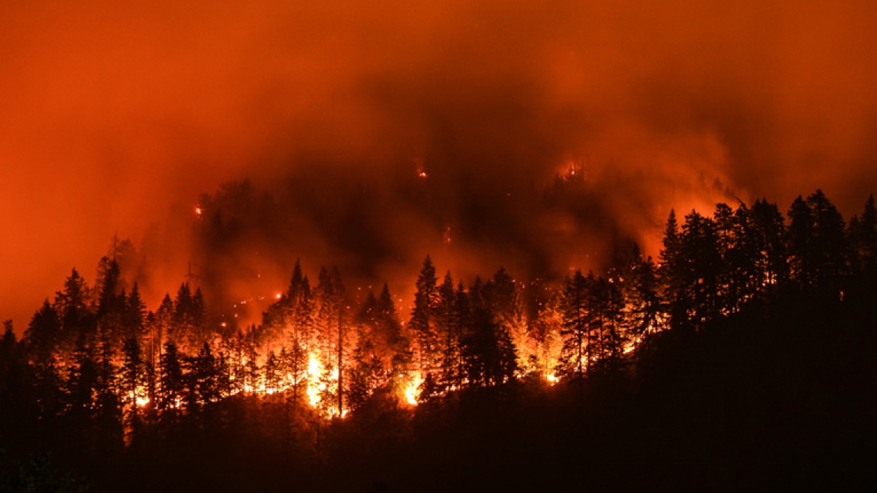 Wildfire