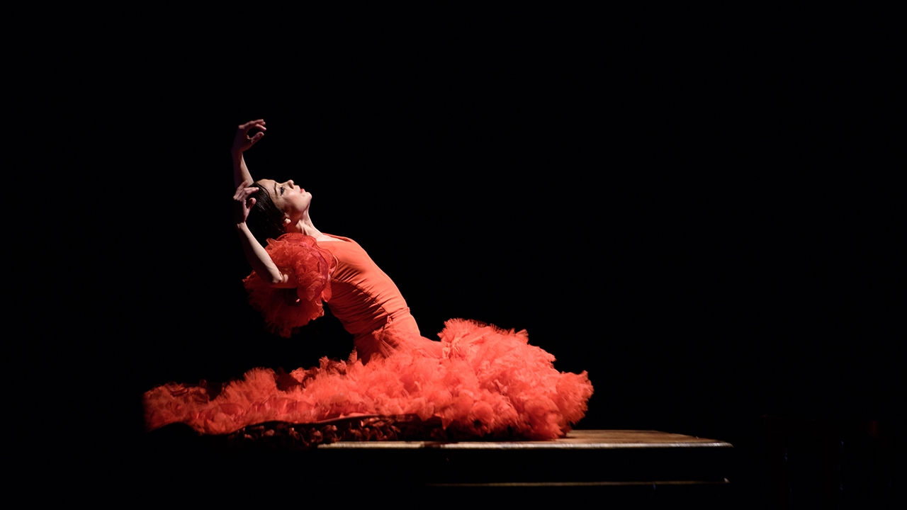 Olga Pericet, a journey through dance