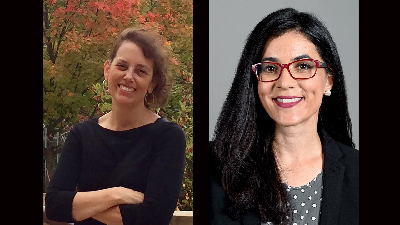 Visiting scholars