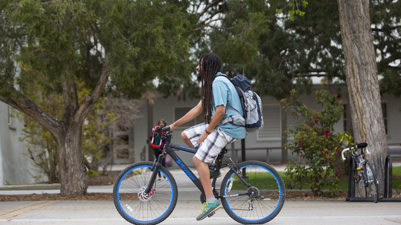 bike-study