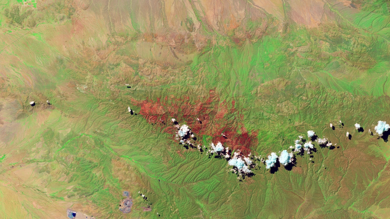 Burn scar in the Gila Mountains