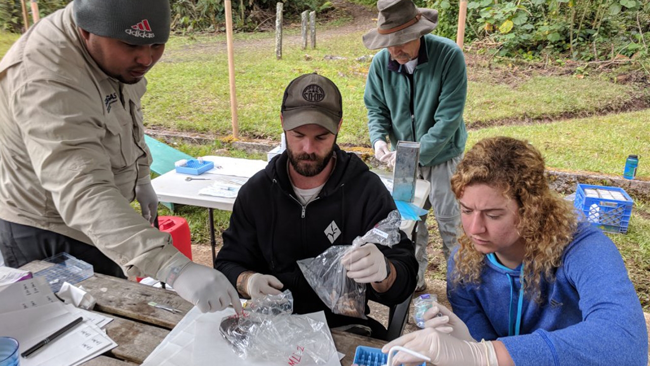 Bagging samples