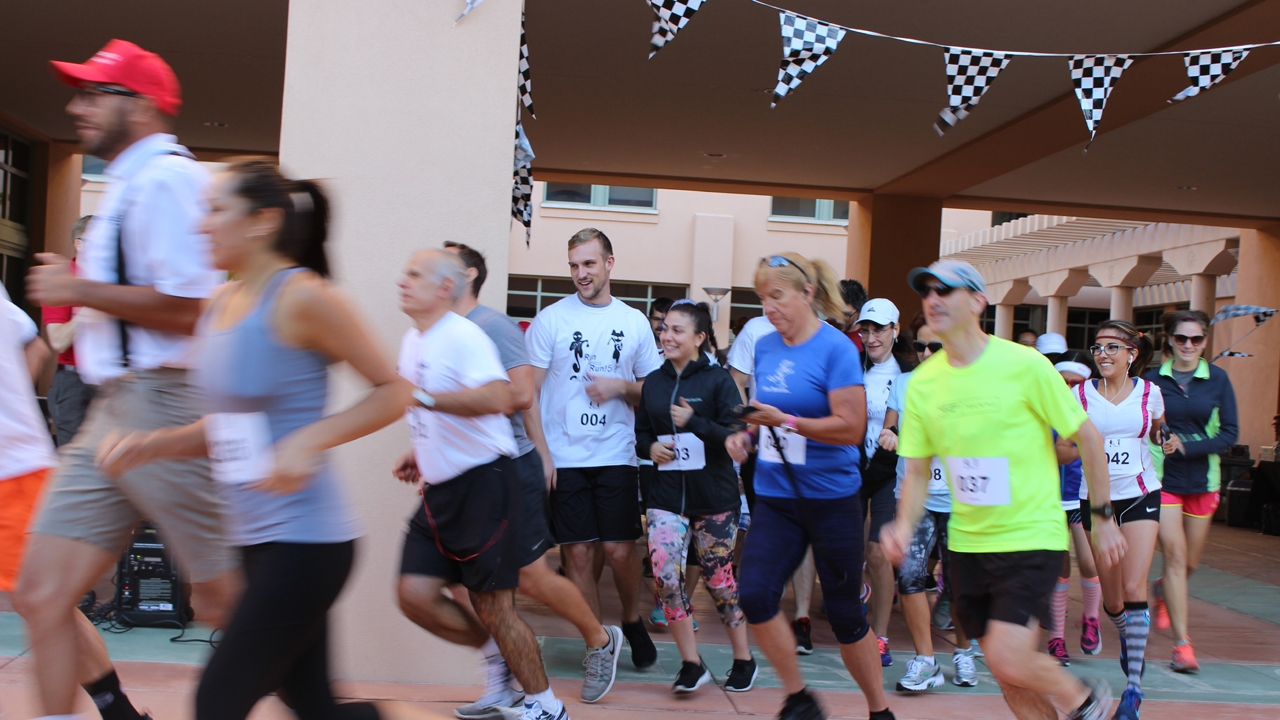 Runners begin 