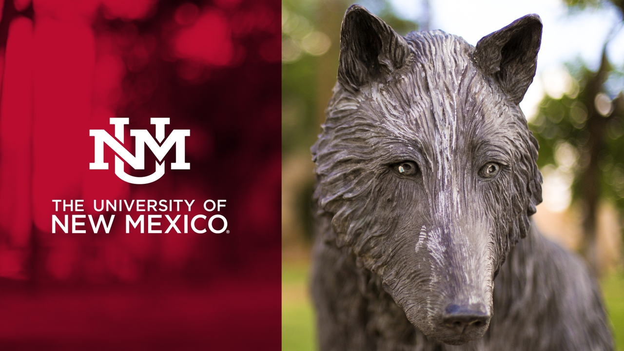 UNM Logo with Pic