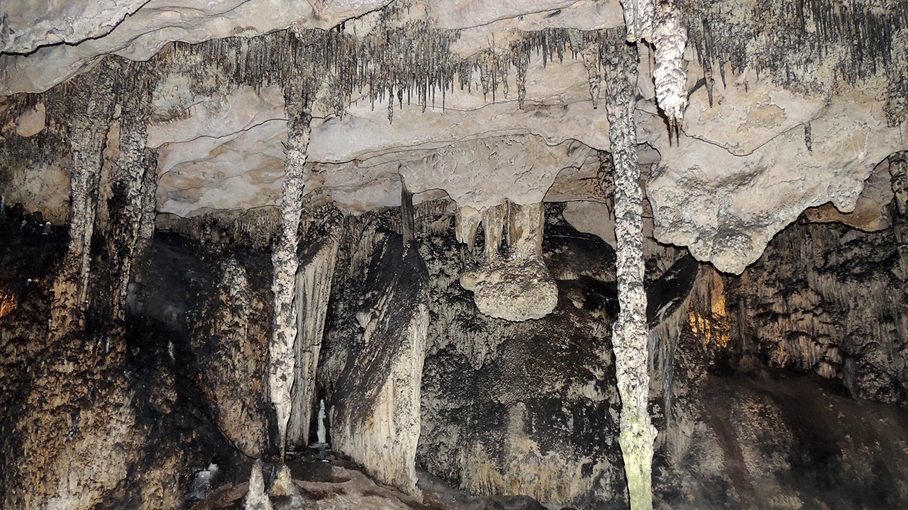 The bulbous stalactitic 