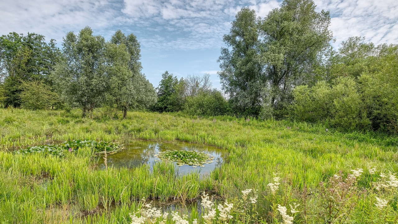 Environmental Data Initiative grant