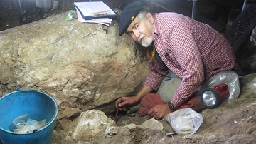 Emeritus professor publishes findings of prehistoric archeologists