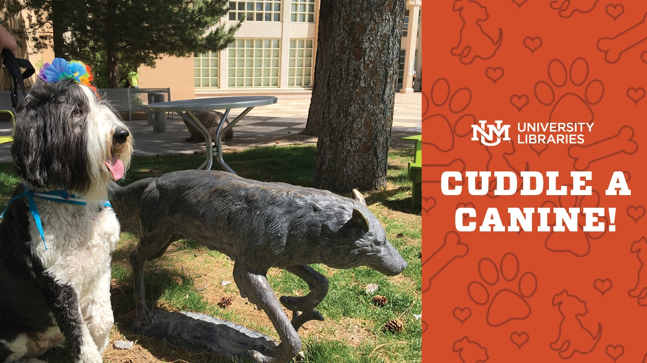 cuddle a canine fall 2019 hero
