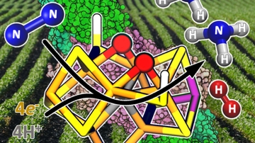 UNM's Department of Chemistry and Chemical Biology presents the 12th annual Riley O. Schaeffer Endowed Lectureship