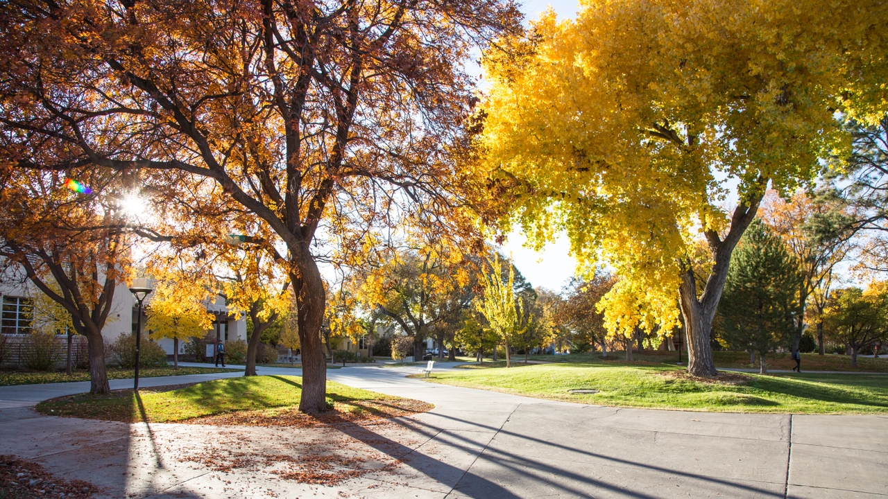 Fall Preview