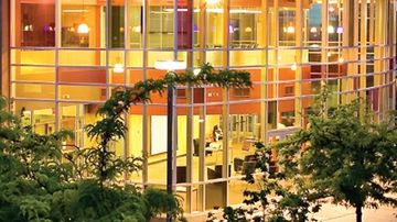 UNM Anderson launches MBA for Professionals in Sport Management