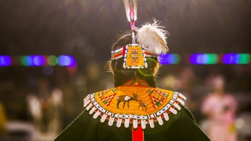 Native Americans overcame major obstacles to vote in 2020 election