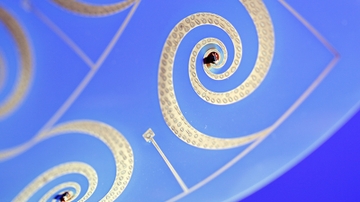 UNM mechanical engineers develop a new way to solve deformation instability problems