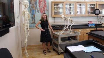New Human Biology undergrad concentration offered by Anthropology department