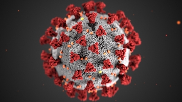 UNM professor looks for way to kill coronavirus