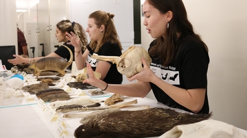 Visitors experience 'The Science of Biodiversity' at UNM's Museum of Southwestern Biology 