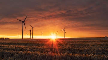 UNM jumps in environmental law rankings  