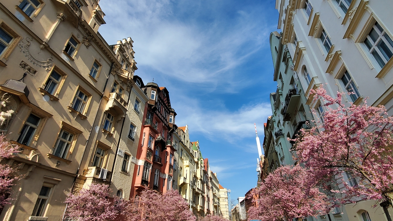 Spring in Prague