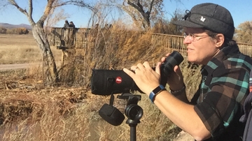 Hunt for wildlife in your own back yard