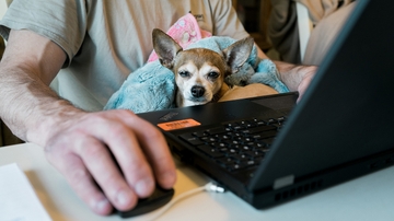Employee and Organizational Development resources designed to meet new workplace challenges 