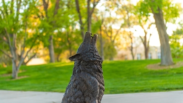 UNM unveils plan to ‘Bring Back the Pack’