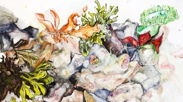 2020 World Environment Day: Celebrating Biodiversity
