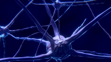 UNM course takes a neuroscientific approach to understanding dreams