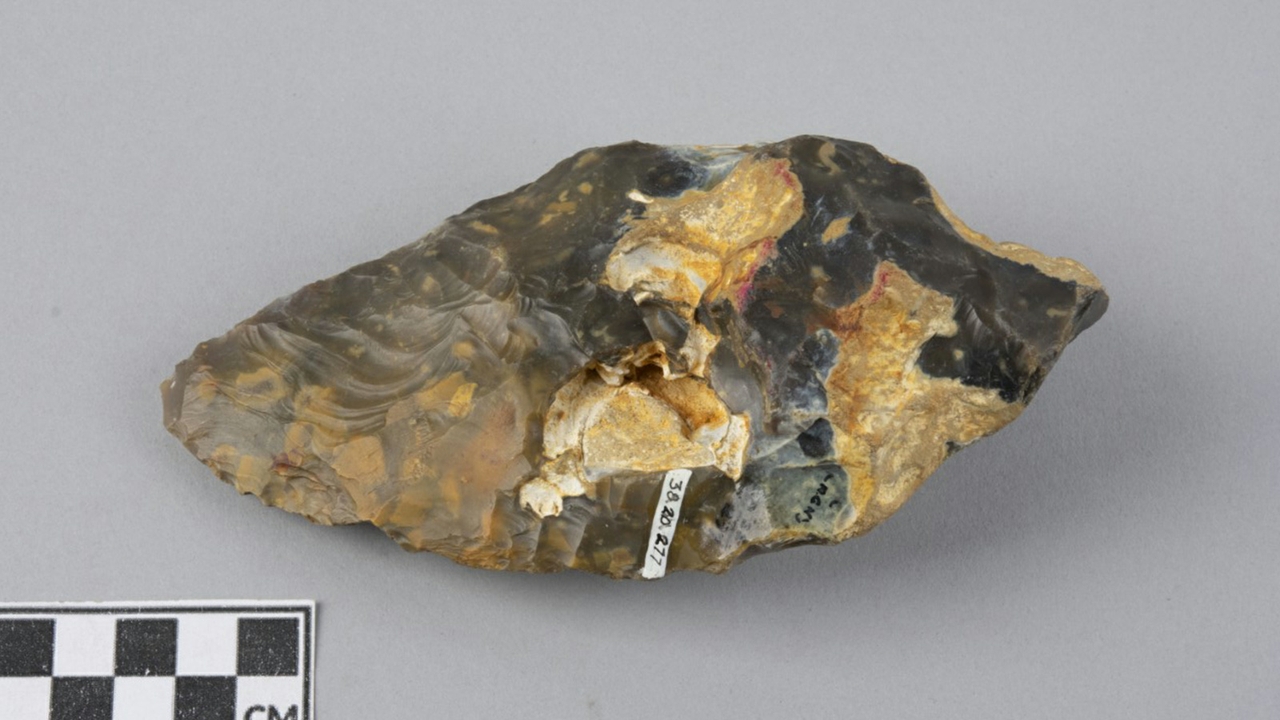 Oldest artifact
