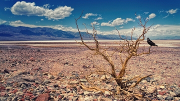 New book by UNM professor examines crucial water issues
