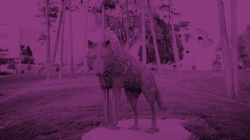 Wear purple Oct. 15 to honor survivors of domestic violence