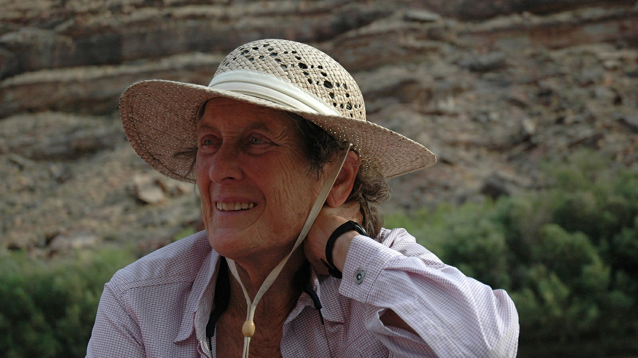 Jane Lancaster honored