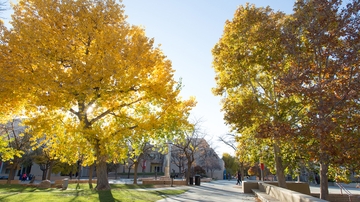 UNM scholarship opportunities for new students