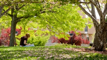 Increasing effectiveness of sexual violence response at UNM