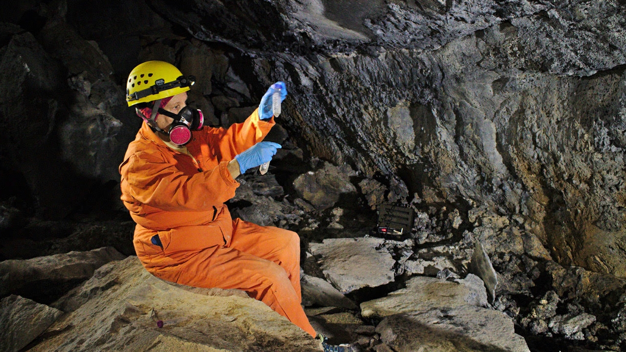 Saving Carlsbad bats