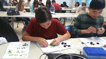 UNM School of Engineering part of Department of Energy consortium